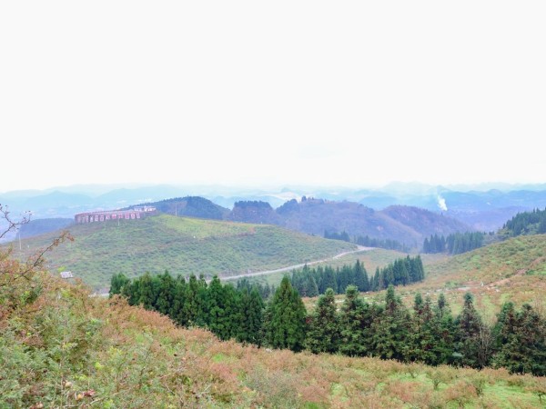 遇見云貴高原：解鎖木瑤醫(yī)生道地藥材基地的“